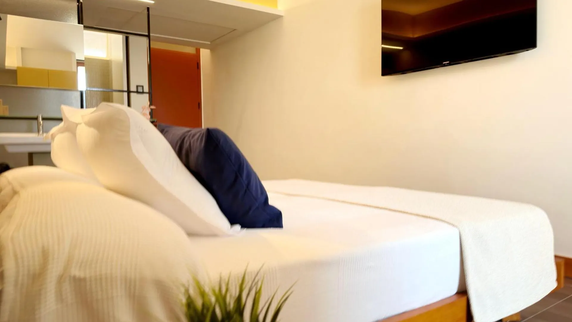 Hotel Sunclub Calavinya - Adults Recommended Salou
