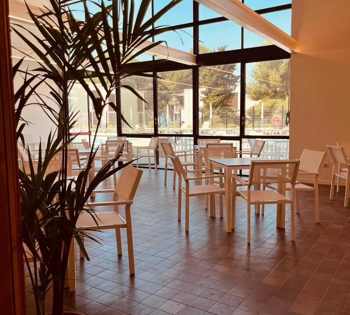 Hotel Sunclub Calavinya - Adults Recommended Салоу 4*,
